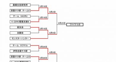 ２０１７、組合せと日程