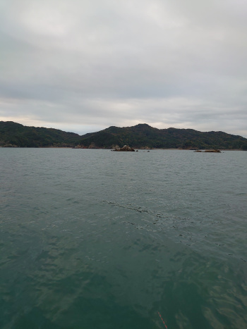 池の浦 ブログ エサ市場えさきち 三重県南勢 東紀州の釣具 釣りエサ屋 池の浦 ブログ エサ市場えさきち 三重県南勢 東紀州の釣具 釣りエサ屋