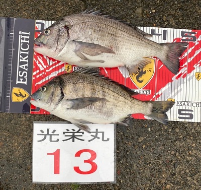 今日のビッグワン ナンバーワン 5 16 ブログ エサ市場えさきち 三重県南勢 東紀州の釣具 釣りエサ屋 今日のビッグワン ナンバーワン 5 16 ブログ エサ市場えさきち 三重県南勢 東紀州の釣具 釣りエサ屋