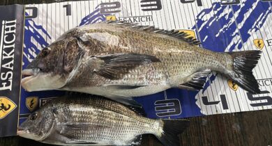 IMG_3160-scaled