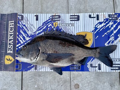 s-399828_443890