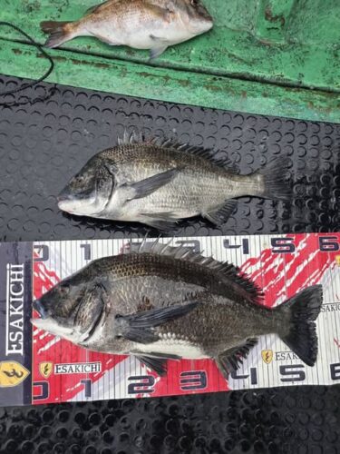 1.5