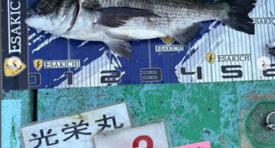 なし