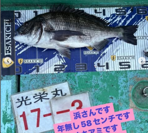 なし