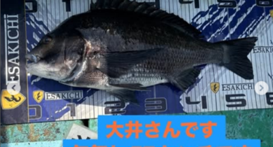 イルな