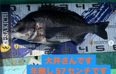 イルな