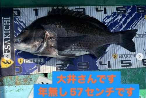 イルな