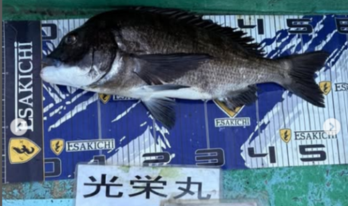 タイト