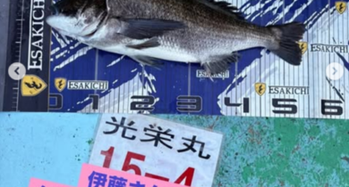 タイトルな