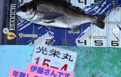 タイトルな