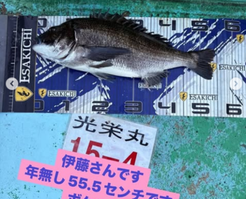 タイトルな