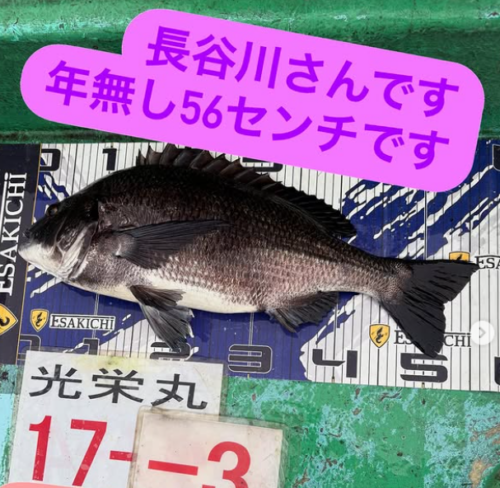 スクリーンショット (232)