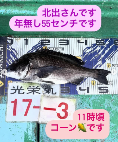 スクリーンショット (316)