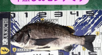 タイトルなし