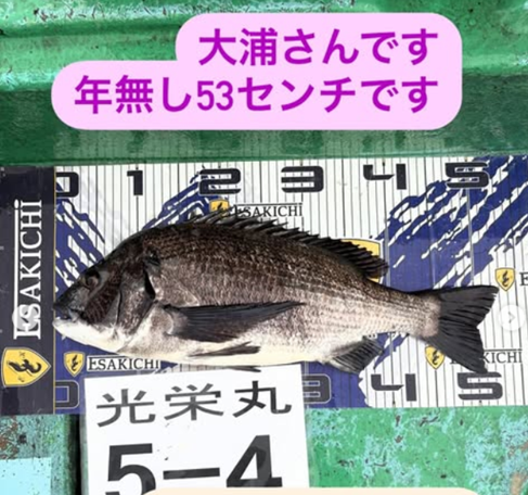 タイトルなし