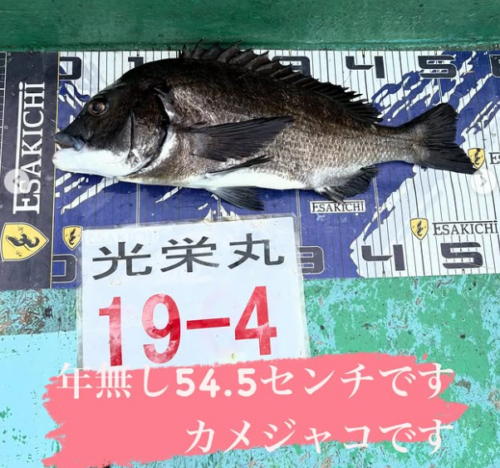 スクリーンショット (352)