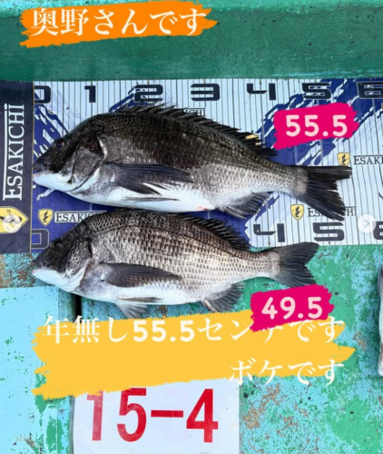 スクリーンショット (333)