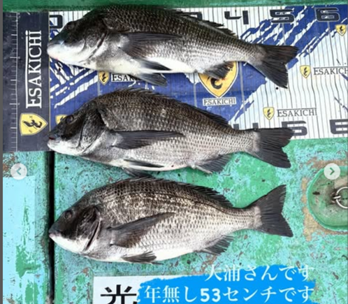イ