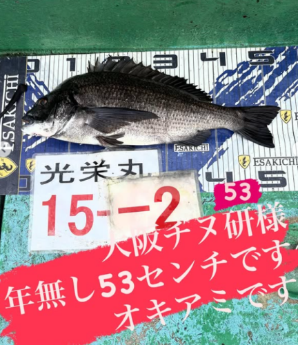 スクリーンショット (409)