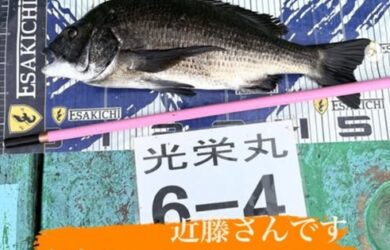 タイトルなし