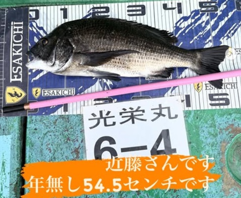 タイトルなし