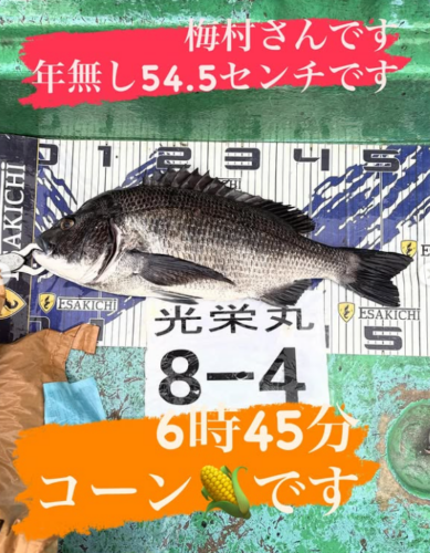 スクリーンショット (397)