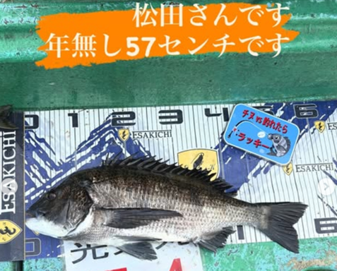 トルなし