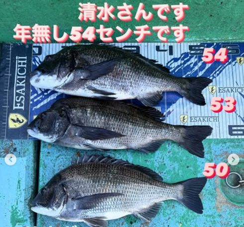 タイトルし
