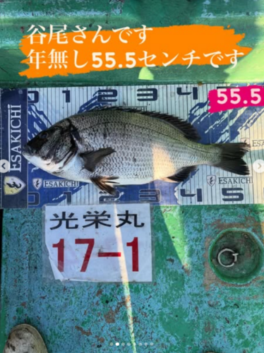 スクリーンショット (497)