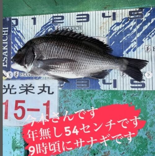 イトし