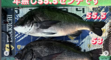 タイルし