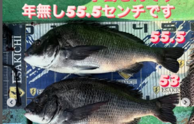 タイルし