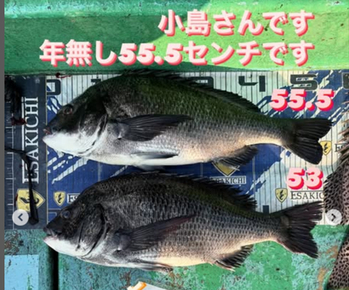 タイルし