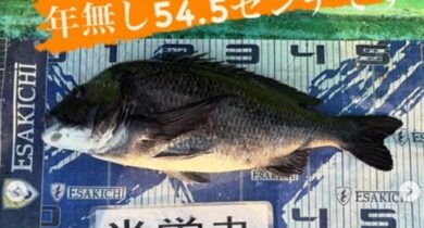 タイトなし