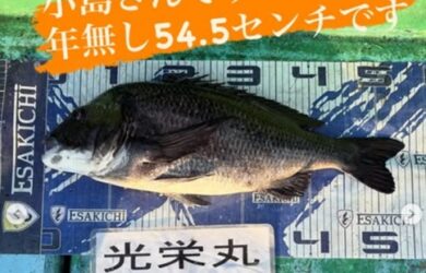 タイトなし