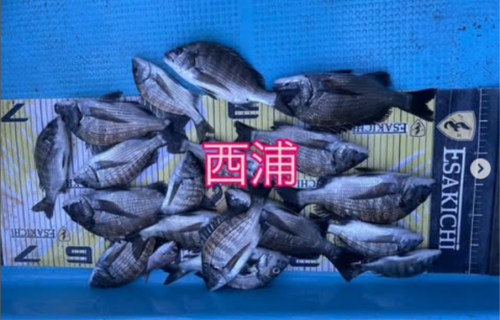 タイトなし