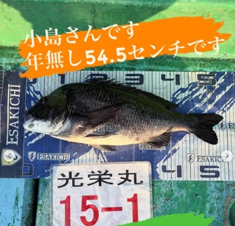 タイトなし