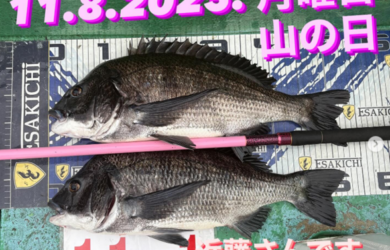 タイトル