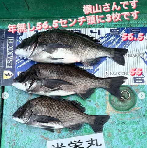 タイトル