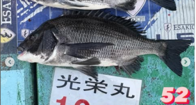 タイトルし