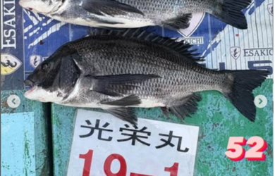 タイトルし