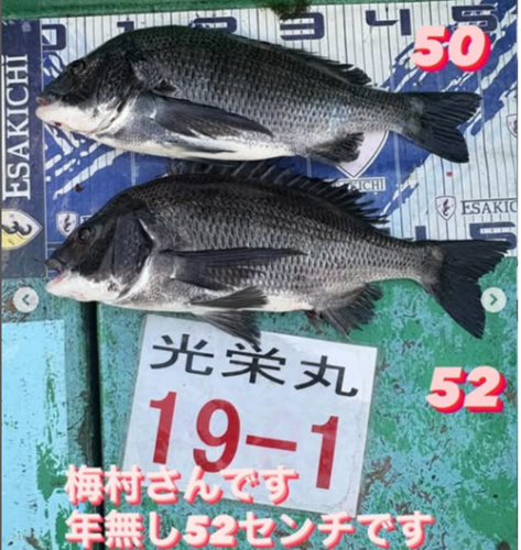 タイトルし