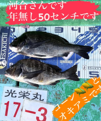 スクリーンショット (508)