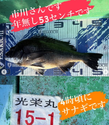スクリーンショット (510)
