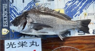 タイ