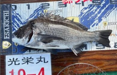 タイ