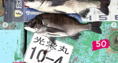 タルし