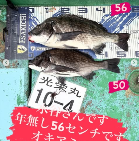 タルし