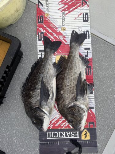 556021880_4200687980207019_5494134327308286762_n