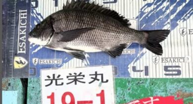 タイトルなし